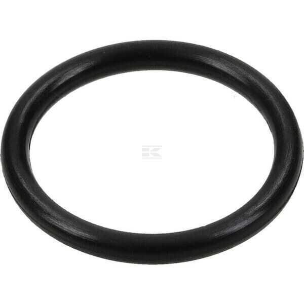 O-ring - 280891 - Briggs & Stratton