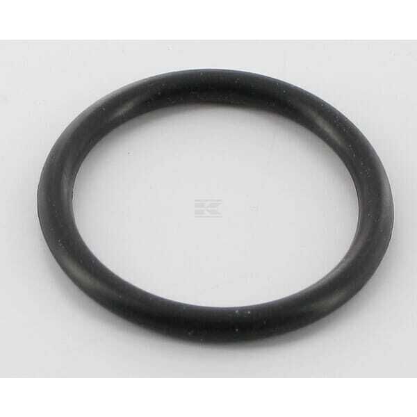 O-ring - 691031 - Briggs & Stratton