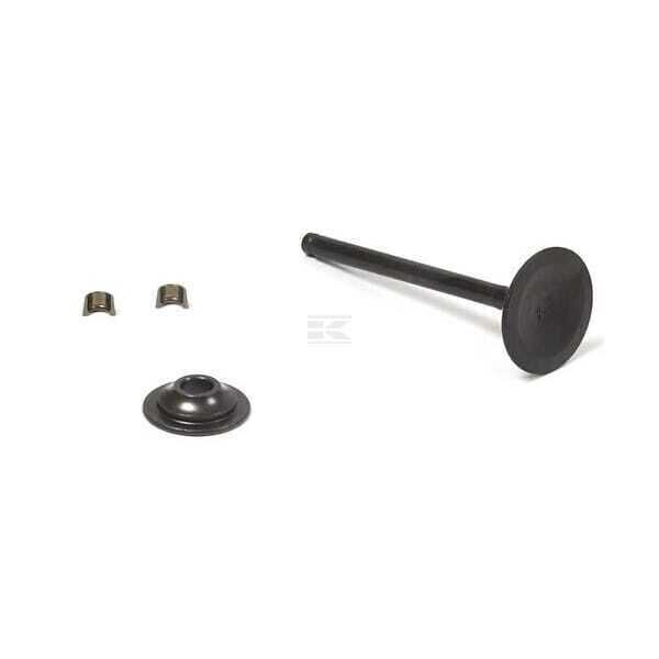 Uitlegklep - 716519 - Briggs & Stratton