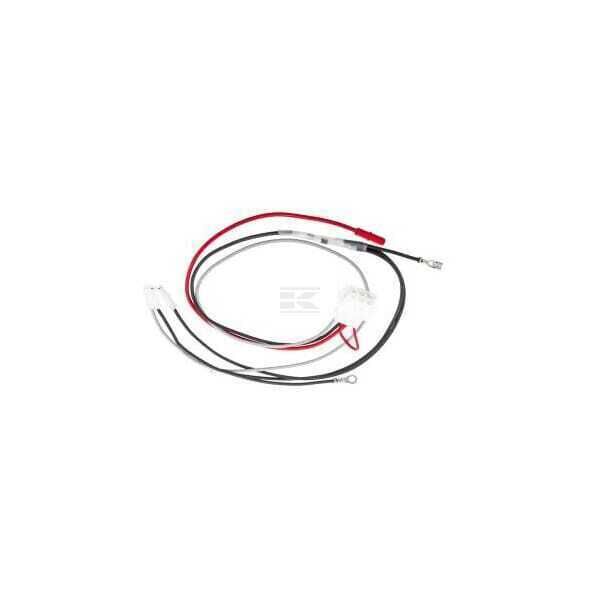 Bekabelingssysteem - 796860 - Briggs & Stratton