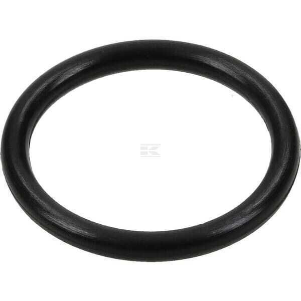 O-ring - 796863 - Briggs & Stratton