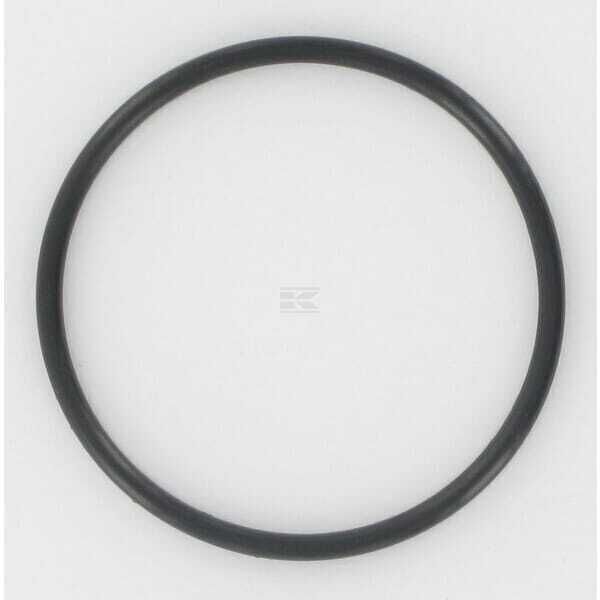 O-ring - 91301ZG3000 - Honda