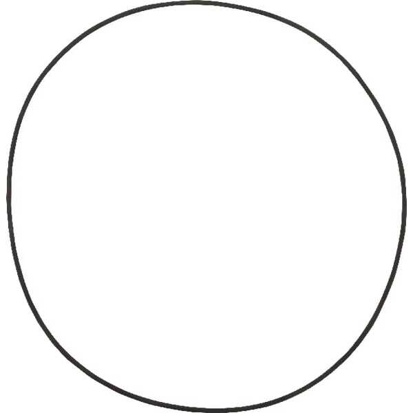 John Deere O-ringen Dana - 001051037 - O-ring