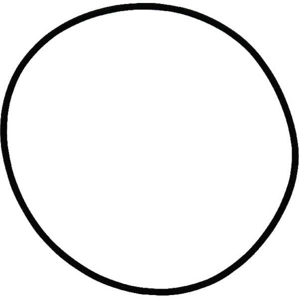 John Deere O-ringen Dana - 1120700801 - O-ring