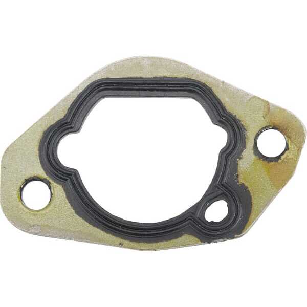 Castelgarden Carburateurpakking - 1185507620 - Pakking, isolator
