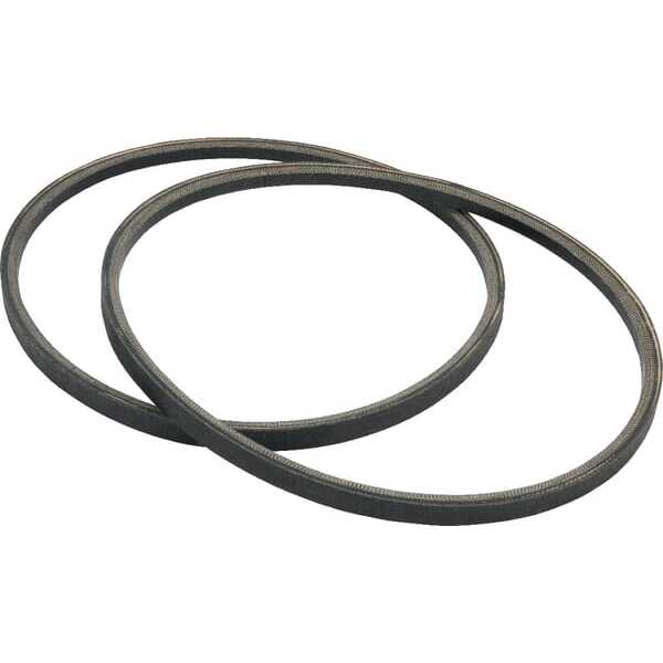 Murray V-snarenOverzichtF&G - 1718602SM - V-snaarset 2 stuks A
