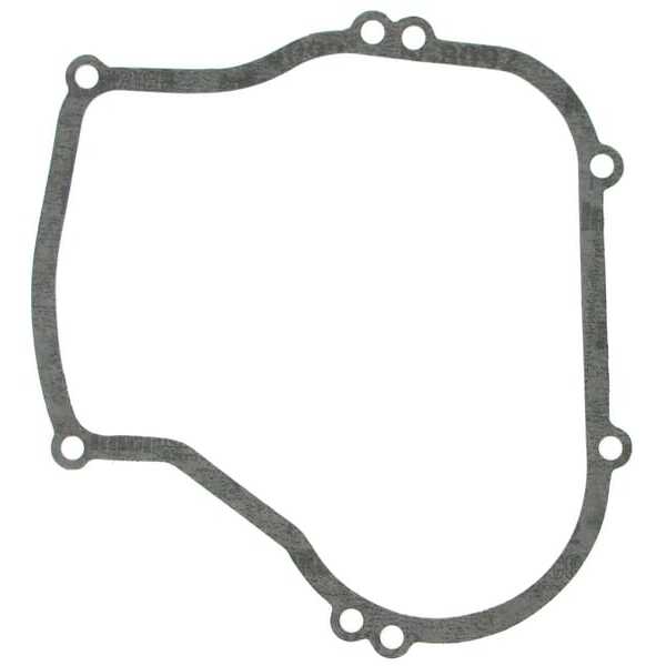 Briggs & Stratton Carterpakking - 270069 - Carterpakking B&S