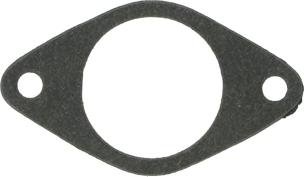 Pakking - 270070 - Briggs & Stratton