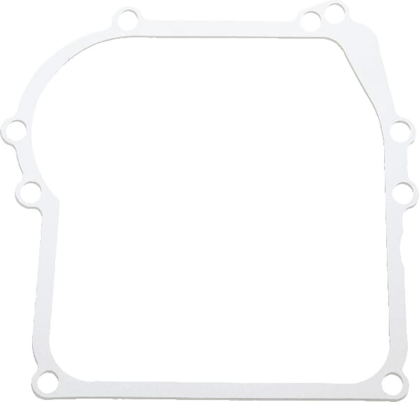 Carterpakking - 270896 - Briggs & Stratton
