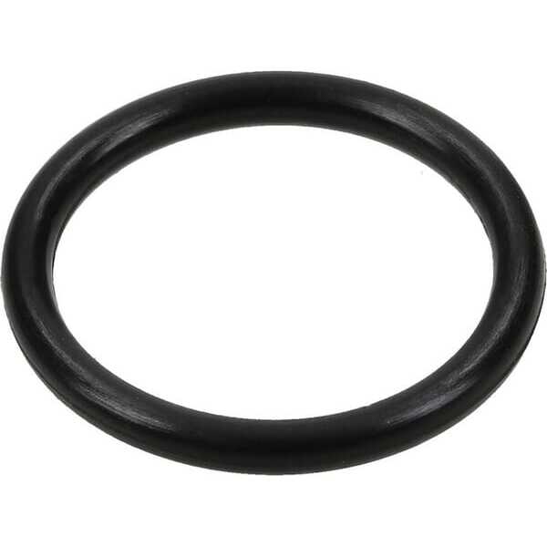 O-ring - 280891 - Briggs & Stratton