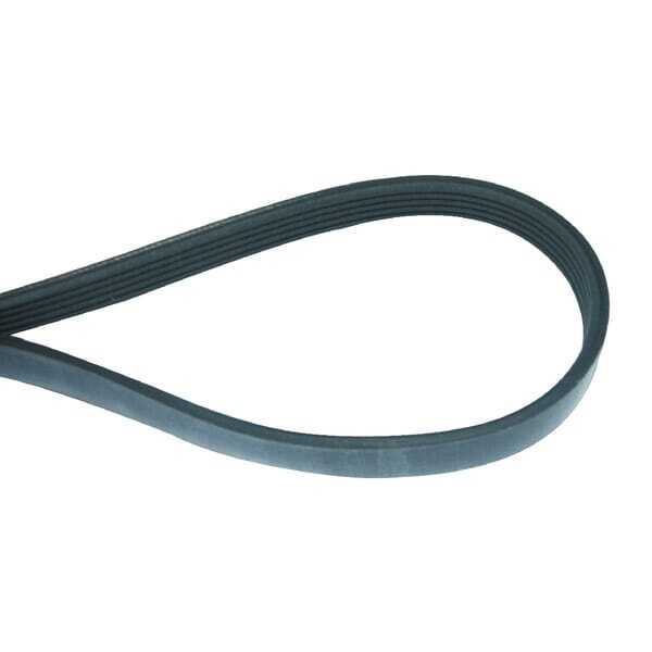 Murray V-snarenOverzichtF&G - 319596 - Ribriem 6Vx890mm