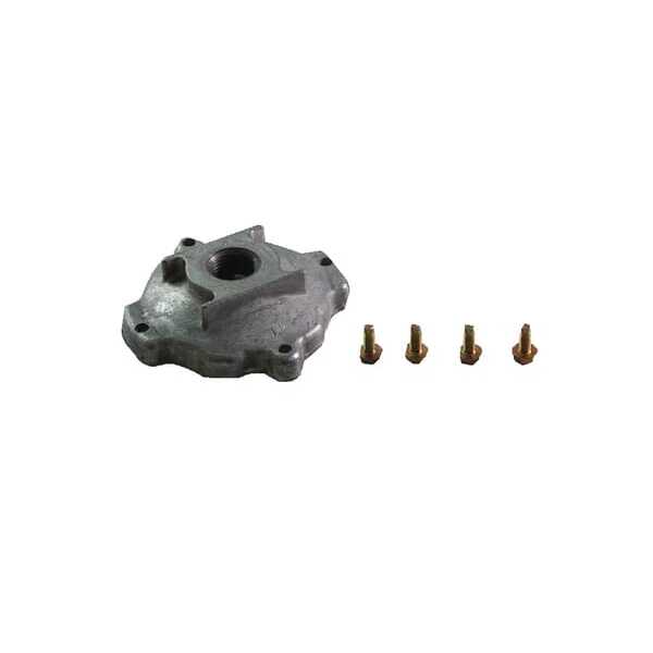 Huis-Koppeling - 394897 - Briggs & Stratton