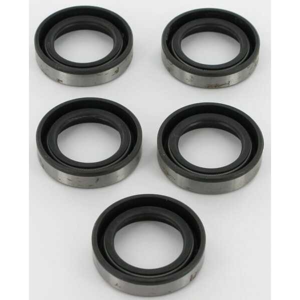 Briggs & Stratton Oliekeerringen - 4118 - Bulkpak keerringen 5 x 391483S