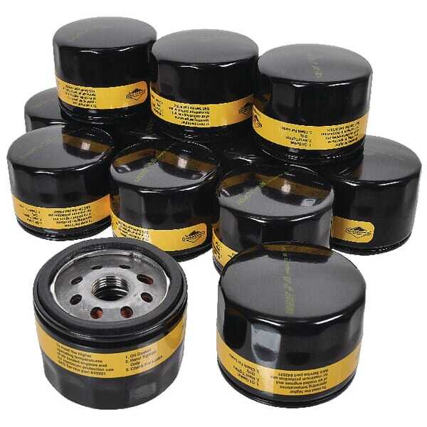 Briggs & Stratton Oliefilters - 4237 - Bulkpak oliefilters 12x842921