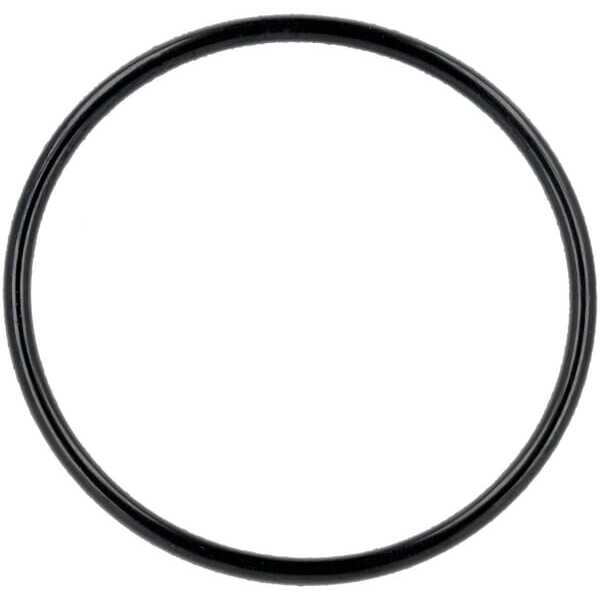 AL-KO O-ringen - 463554 - O-ring 55x3,1