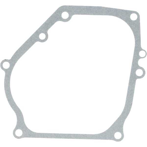Briggs & Stratton Carterpakking - 590608 - Carterpakking B&S