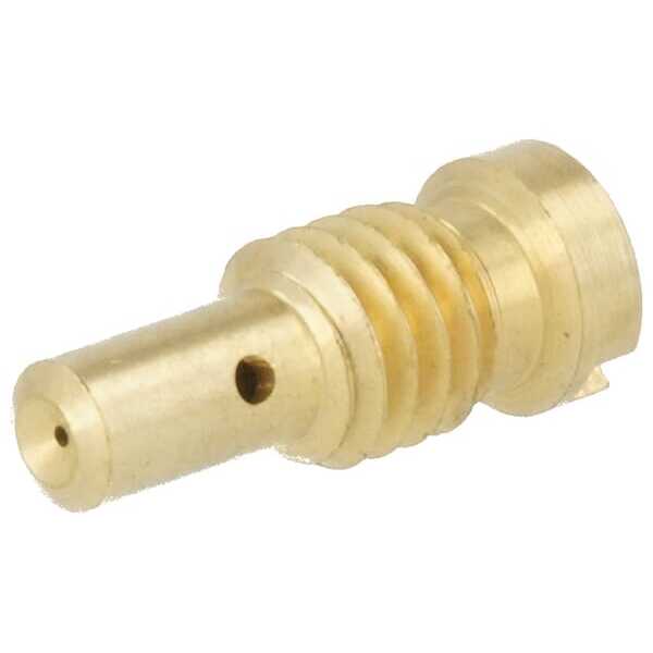 Pilotstraal - 594870 - Briggs & Stratton