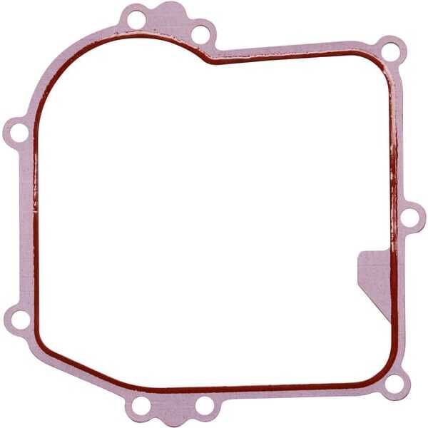 Briggs & Stratton Carterpakking - 596504 - Carterpakking B&S