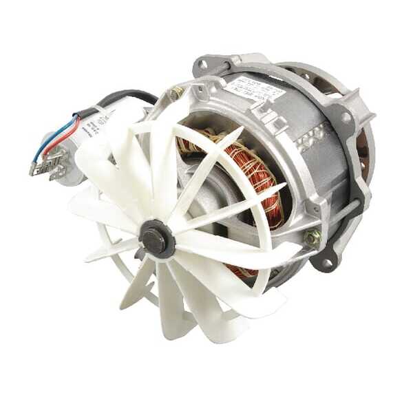 MTD ElektromotoroverzichtOEF&G - 62405024 - Elektromotor
