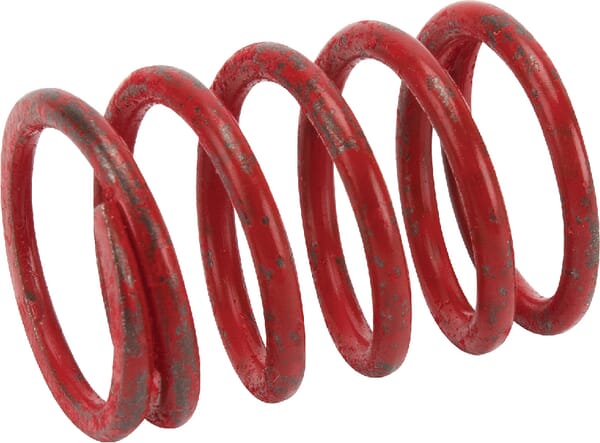 Ventielveer - 691597 - Briggs & Stratton