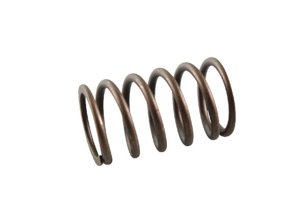 Veerklep - 691605 - Briggs & Stratton