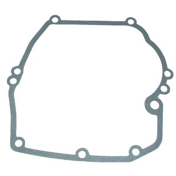 Briggs & Stratton Carterpakking - 692232 - Carterpakking B&S (4182)