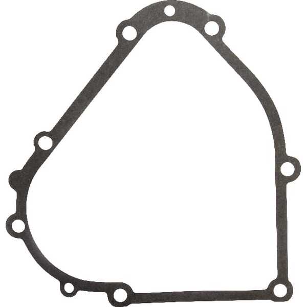 Briggs & Stratton Carterpakking - 694953 - Carterpakking B&S
