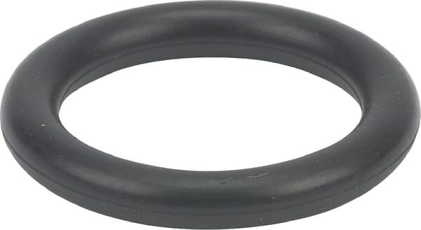 O-ring - 699725 - Briggs & Stratton