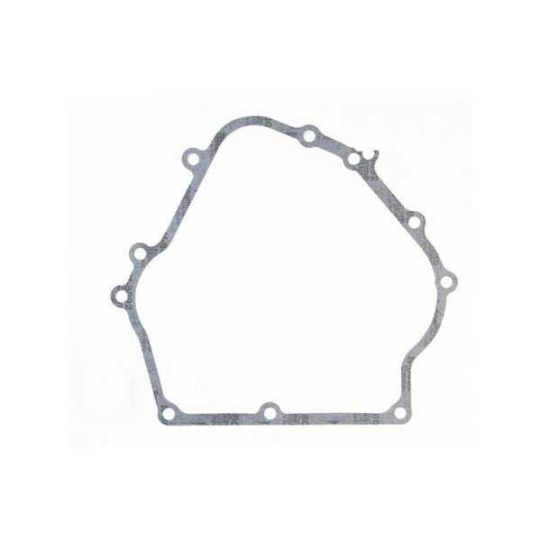 Briggs & Stratton Carterpakking - 710216 - Carterpakking B&S