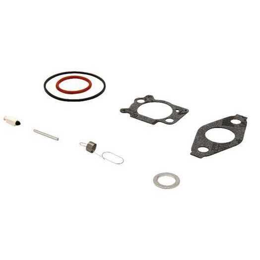 Klep-Puin - 793622 - Briggs & Stratton