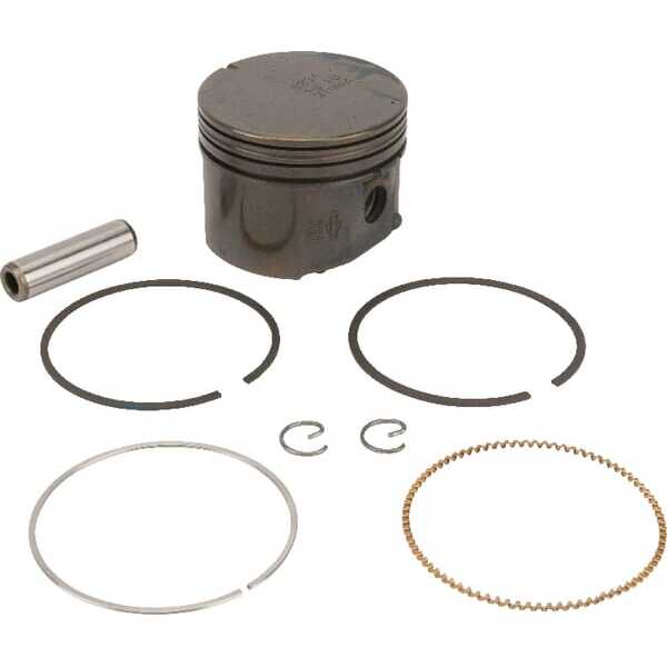 Briggs & Stratton Zuigers - 795691 - Zuiger cpl. B&S std