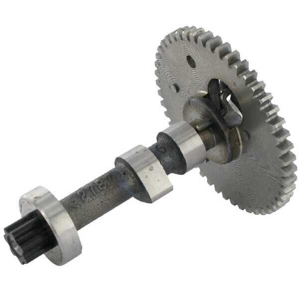 Briggs & Stratton Nokkenas - 797851 - Nokkenas