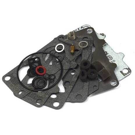 Briggs & Stratton Carburateur reparatieset - 797890 - Carburateur reparatieset
