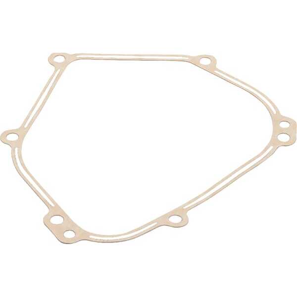 Briggs & Stratton Carterpakking - 798462 - Carterpakking B&S