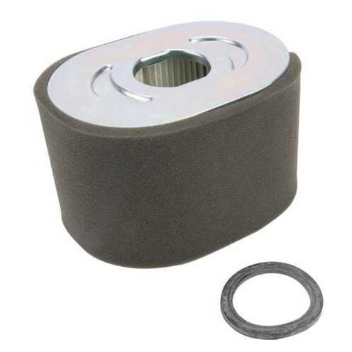 Luchtfilter - 799818 - Briggs & Stratton