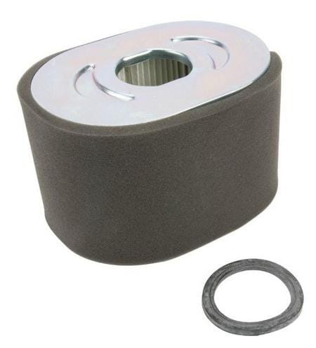 Luchtfilter - 799818 - Briggs & Stratton