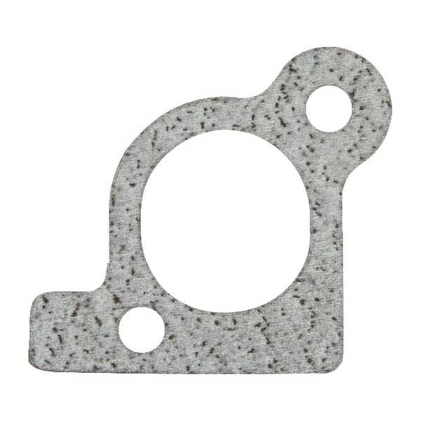 Briggs & Stratton Inlaatpakking - 806418 - Inlaatpakking