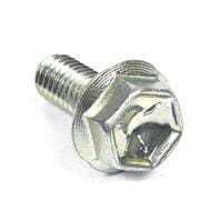 Schroef - 807084 - Briggs & Stratton