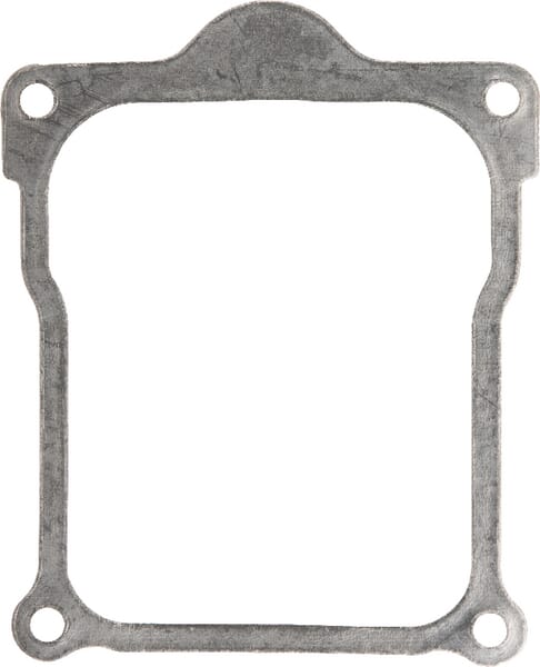 Ventieldoppakking - 809732 - Briggs & Stratton