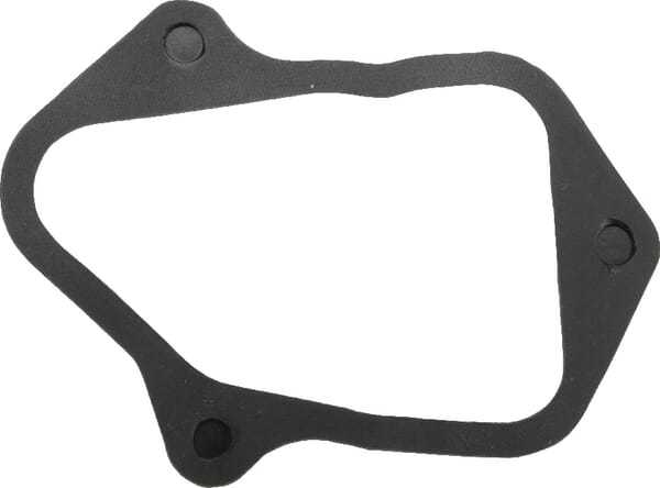 Ventielpakking - 84006588 - Briggs & Stratton