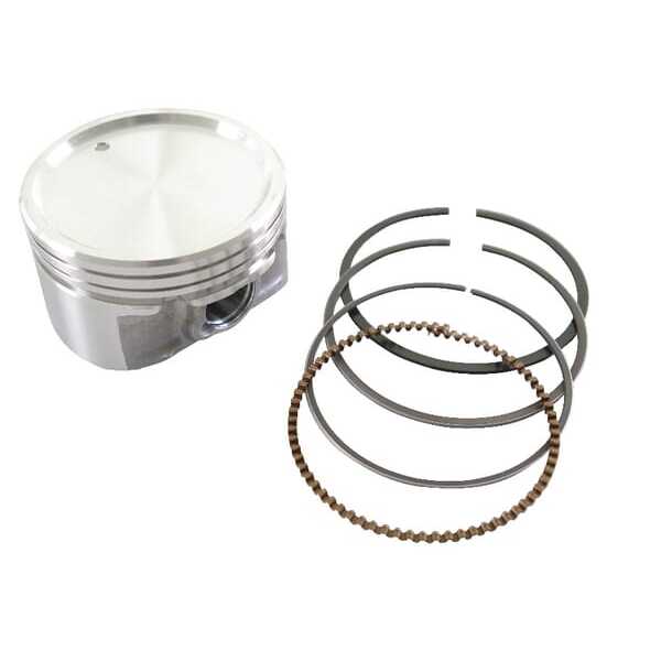 Briggs & Stratton Zuigers - 843792 - Zuiger cpl. B&S std
