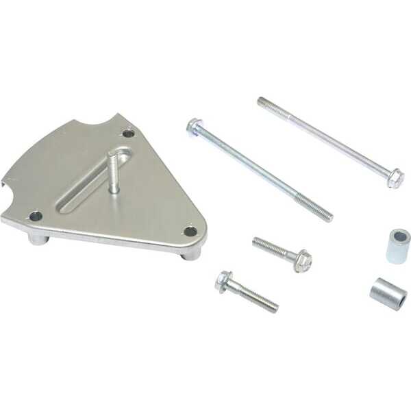 Carburateurscherm - 845543 - Briggs & Stratton