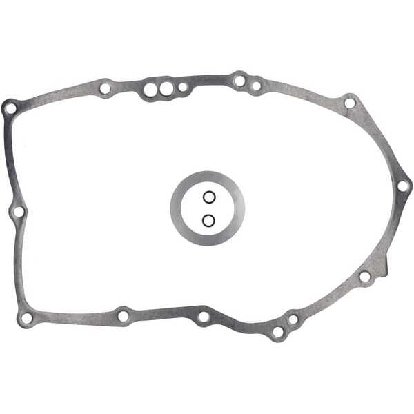 Briggs & Stratton Carterpakking - 846037 - Carterpakking B&S .015"