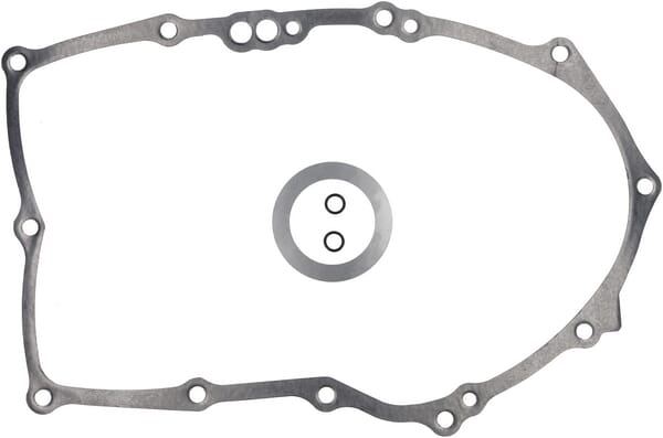 Briggs & Stratton Carterpakking - 846037 - Carterpakking B&S .015"