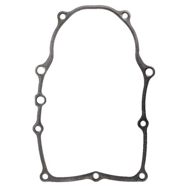 Briggs & Stratton Carterpakking - 846487 - Carterpakking B&S