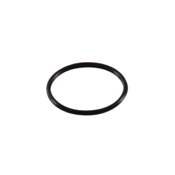 AL-KO O-ringen - AK401495 - O-ring 31,00/2,50