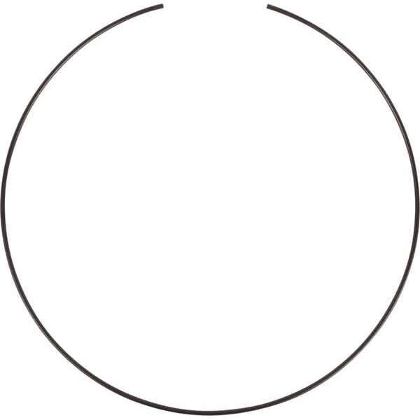 John Deere Ringen Carraro - CI117107 - Ring