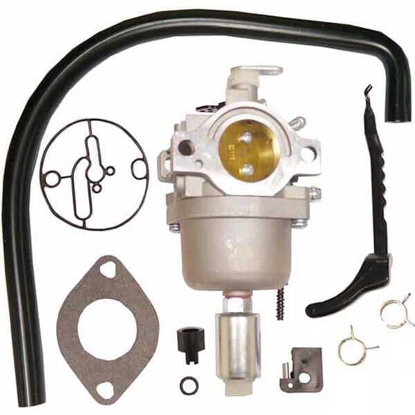 BS Carburateur Briggs & Stratton - FGP456484 - Carburateur, passend voor B&S 799727
